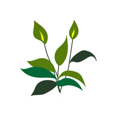 green tropical leaf illustration