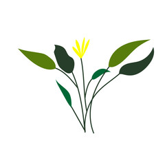 Fototapeta na wymiar green tropical leaf illustration