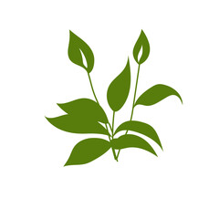 green tropical leaf illustration