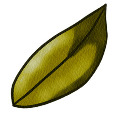 Fall Dry Leaf Illsutration Watercolor