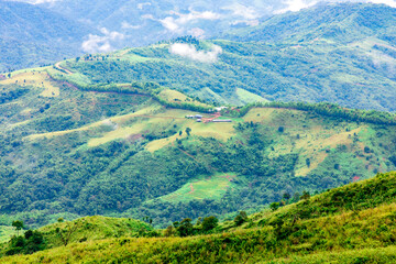 Obraz premium Landscape of green mountain in rain