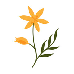Fototapeta na wymiar doodle foliage mini plant flower