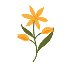 doodle foliage mini plant flower