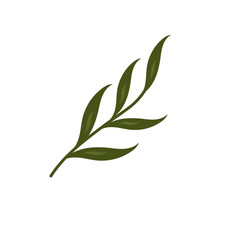 doodle foliage mini plant flower