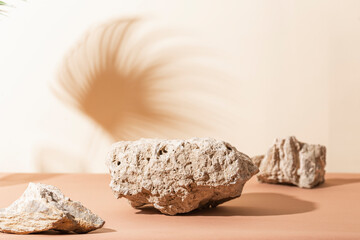  Stones on a beige and brown background with beautiful branch shadows. Cosmetic product mockup