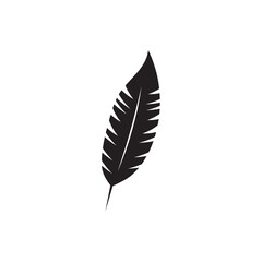 Feather logo vector template icon