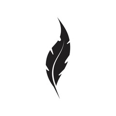 Feather logo vector template icon