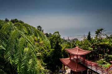 Fototapeta premium The lush gardens of Monte Palace in Funchal, Madeira