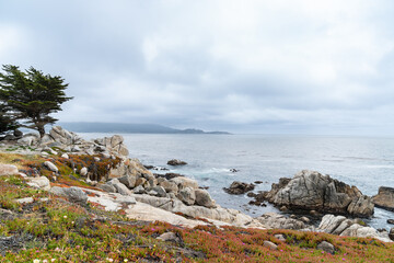 calm sea water under cloudy sky and scenic ocean view at pebble beach along 17 mile drive in California usa