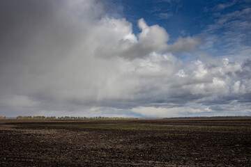 plowed field in spring. trees in the field. dramatic sky over the horizon
