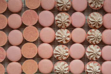 A lot of pink macaroon halves on a cooling rack. Сooking process of French dessert macaroon with strawberry flavor. Flat lay
