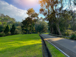 Fototapeta na wymiar Concept captures a beautiful road down the hill.