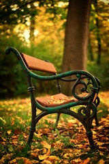 Fototapeta na wymiar bench in autumn park