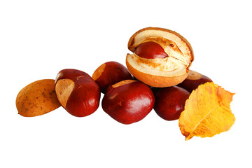 Chestnuts isolated on white background for your design or wallpaper