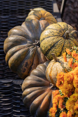 Halloween orange pumpkins on the entrance steps to the house in sunny day. Halloween decorations