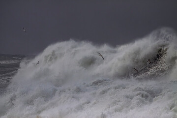 Stormy breaking wave