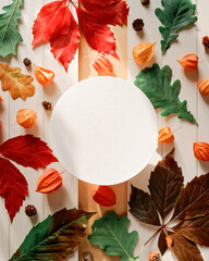 Autumn composition with a round frame, bright fallen tree leaves and physalis flowers. Red, yellow, green leaves are on a white wooden background. Autumn, fall, thanksgiving day concept. Copy space.
