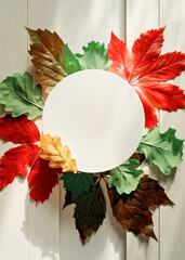 Autumn composition with round paper canvas and colorful tree leaves. Red, yellow, green leaves are on a white wooden background. Autumn, fall, thanksgiving day concept. Flat lay. Copy space.