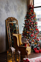Cute funny dog with gift in room decorated for Christmas