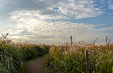 Fototapeta premium road to heaven