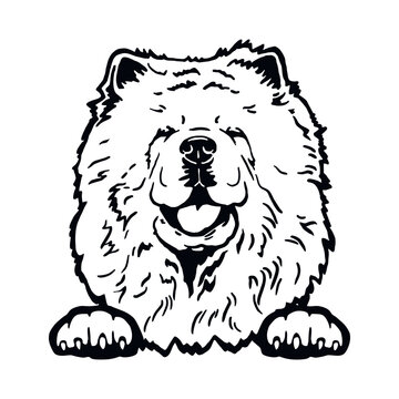 recommend clip art: Chow Chow - Funny Dog, Vector File, Cut Stencil for Tshirt