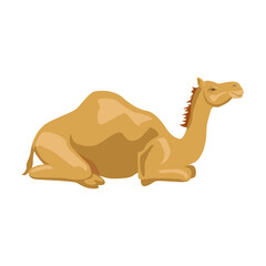 Camel sideways illustration. Cartoon collection of wild animals with humps, caravan of dromedary in desert isolated in white background. Africa, tourism concept for poster