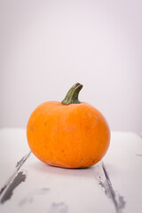 Pumpkin on white in studio