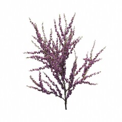 bush isolated on white background, 3D illustration, cg render