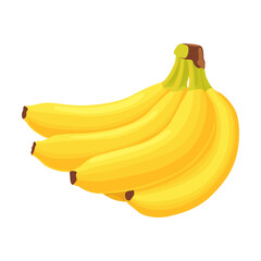 Colorful banana fruits flat picture. Cartoon exotic dessert as banana fruit isolated vector illustration. Healthy food and tropical plants concept