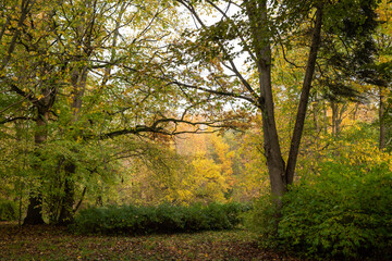 Fall in the old park. Autumn landscape.