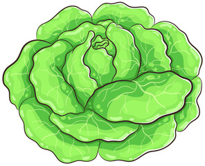 Niedlicher Feldsalat - Vektor-Illustration