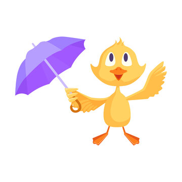 Cartoon duckling. Funny yellow baby chicks or duck stands with umbrella in warm rain. For cartoon character