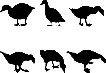 Collection of black silhouettes gooses