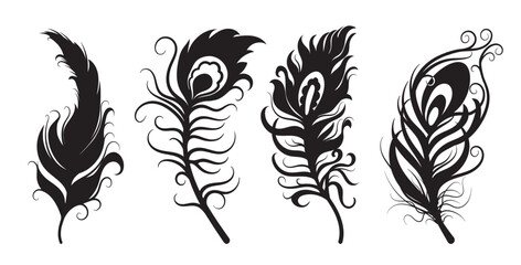 Decorative stylized bird feathers. Vector set. Isolated objects