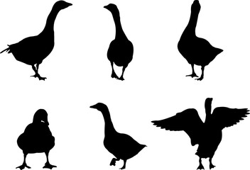 Collection of black silhouettes gooses.