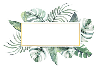 Tropical leaves background.Frame Bird of Paradise with watercolor.Branches and leaves of tropical plants with space for text.Botanical background and wallpaper.