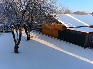 Snowy yard, building roofs and trees during a sunny day