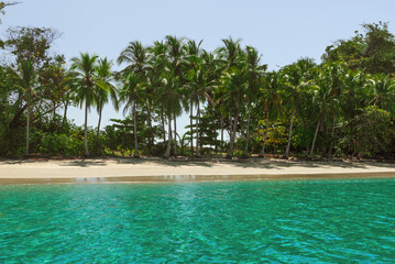 Tropical beach, coconut trees, calm, green water. Isla de Gamez is a small island located off the Pacific coast of Panama.