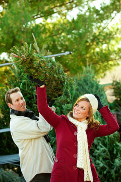 Tree Lot: Couple Heads Home with New Tree