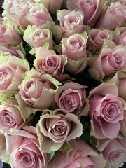 Top view of a bouquet of pink roses