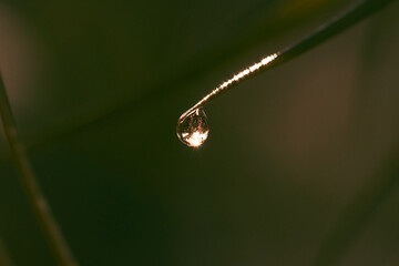 macrofotografía de una gota de agua 