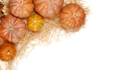 Pumpkins laying on straw isolated on white background with a copy space area