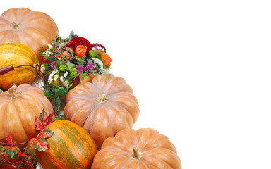 Set of pumpkins composition  on white background top view