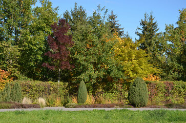 Sonnig bunte Herbstlandschaft im Park