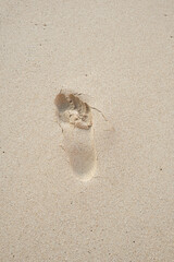 Top view of foot prints on the sea sand. Foot prints going to sea with waves. Holiday concept with sea and foot trails. No people holiday concept. Selective focus area.