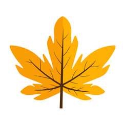 Autumn Leaves Illustration