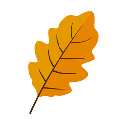 Obraz premium Autumn Leaves Illustration