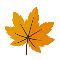 Autumn Leaves Illustration