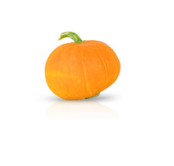 One yellow pumpkin isolated on a white background