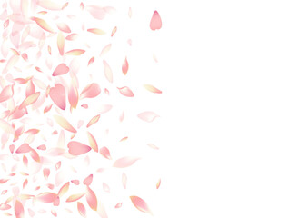 Color Flower Petal Vector White Background. Pink